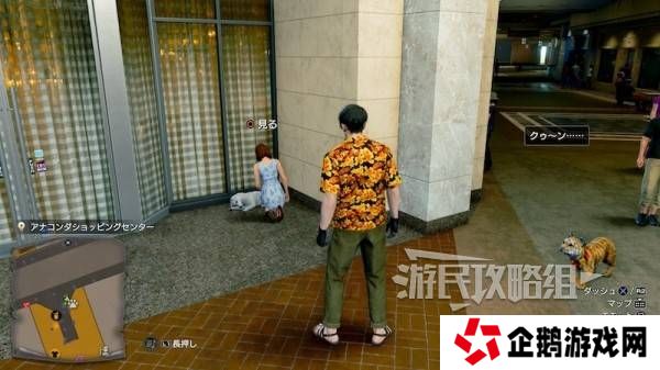 如龙8外传救护动物位置总汇   救护动物食材盘点图片19
