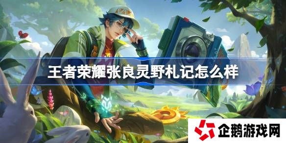 王者荣耀张良灵野札记么样 王者荣耀张良灵野札记皮肤特效一览