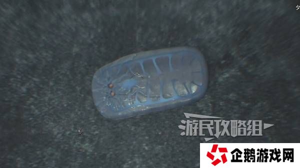 怪物猎人荒野大虚无动在哪捕获    大虚无动捕获攻略图片8