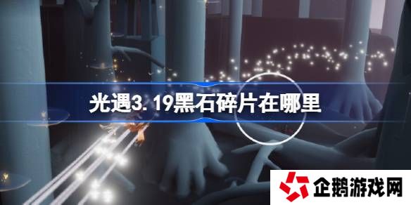 光遇3.19黑石碎片在哪里-光遇3月19日黑石碎片位置攻略