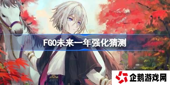 FGO未来一年该怎么选择强化-FGO未来一年强化猜测