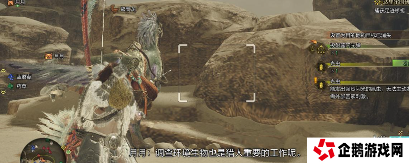 《怪物猎人：荒野》小虫子捕获流程介绍